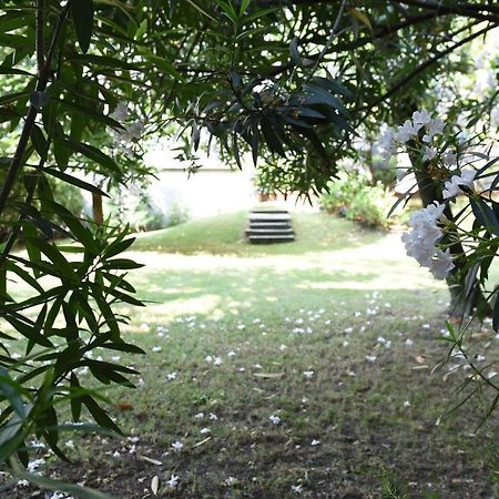 Appartamento Le Rondinelle Côme Esterno foto